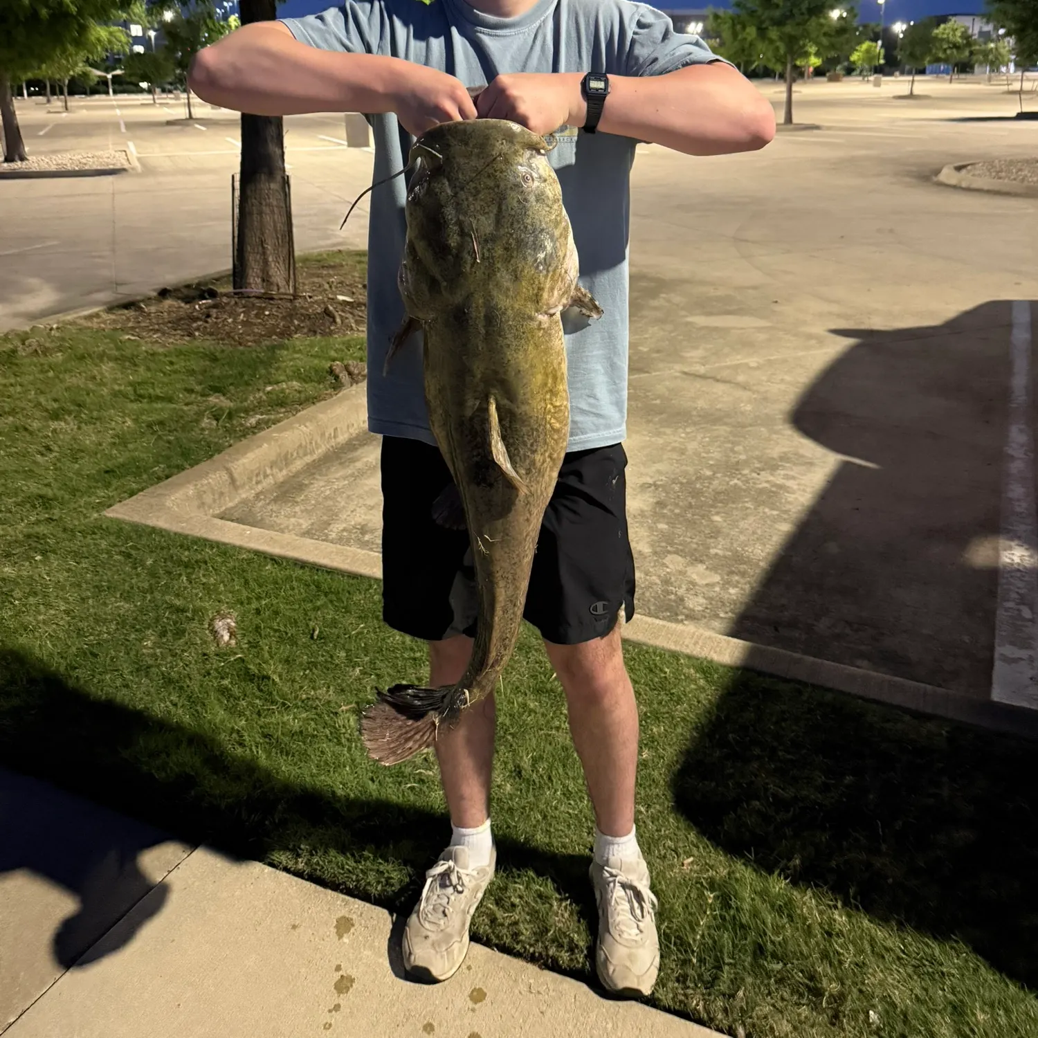 catch