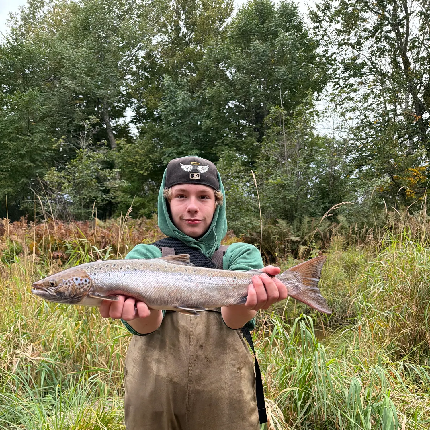 Atlantic salmon caught on Fishbrain