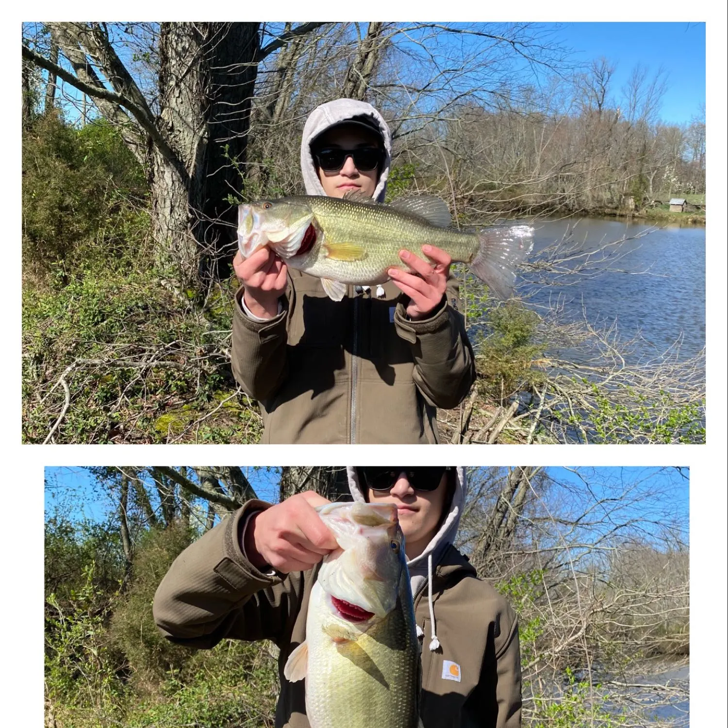 recently logged catches