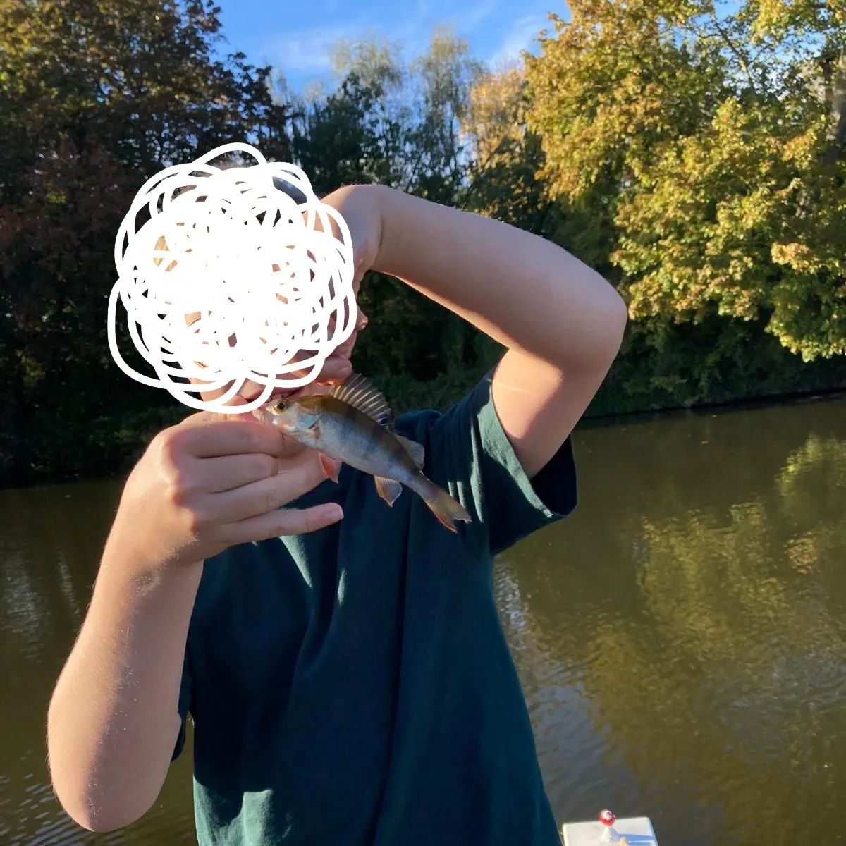 European perch caught on Fishbrain