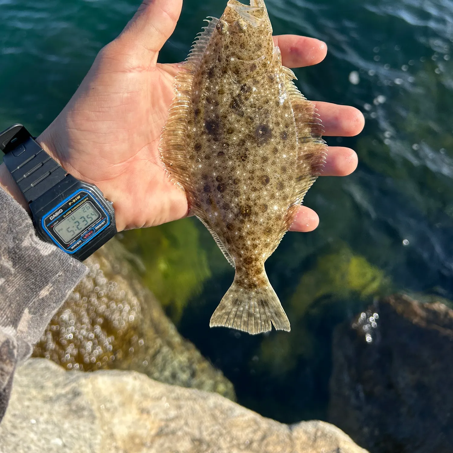 catch