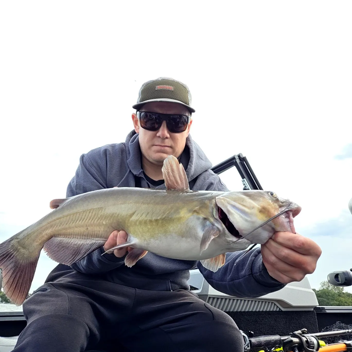Channel catfish caught on Fishbrain