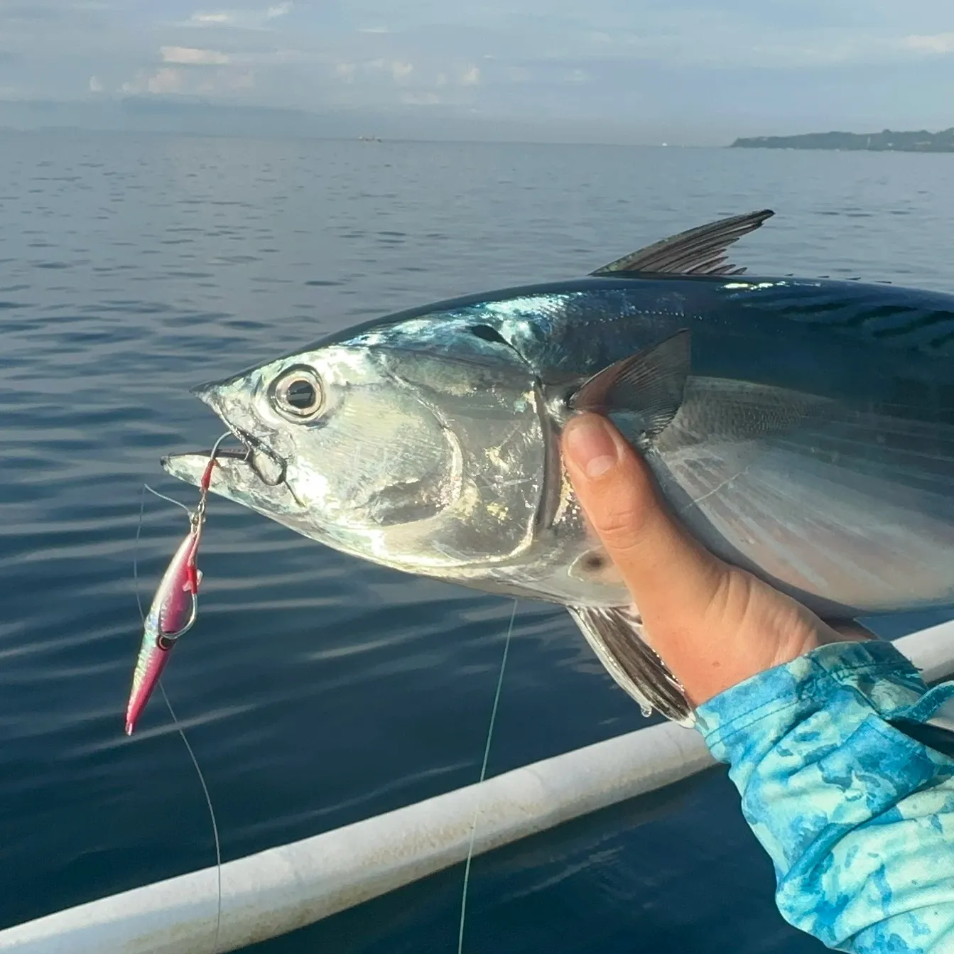 The most recent Frigate tuna catches on Fishbrain