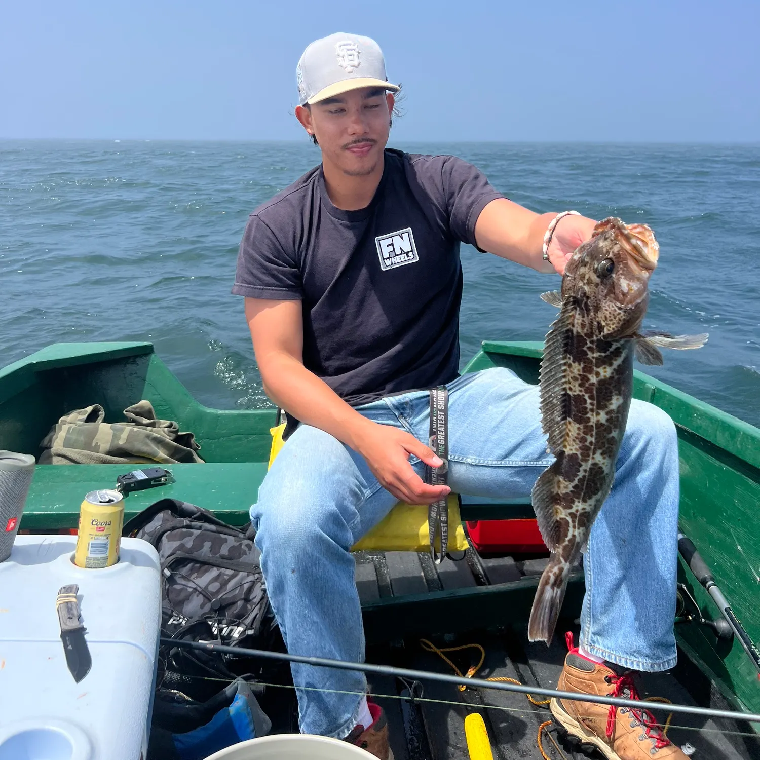 The most recent Lingcod catches on Fishbrain