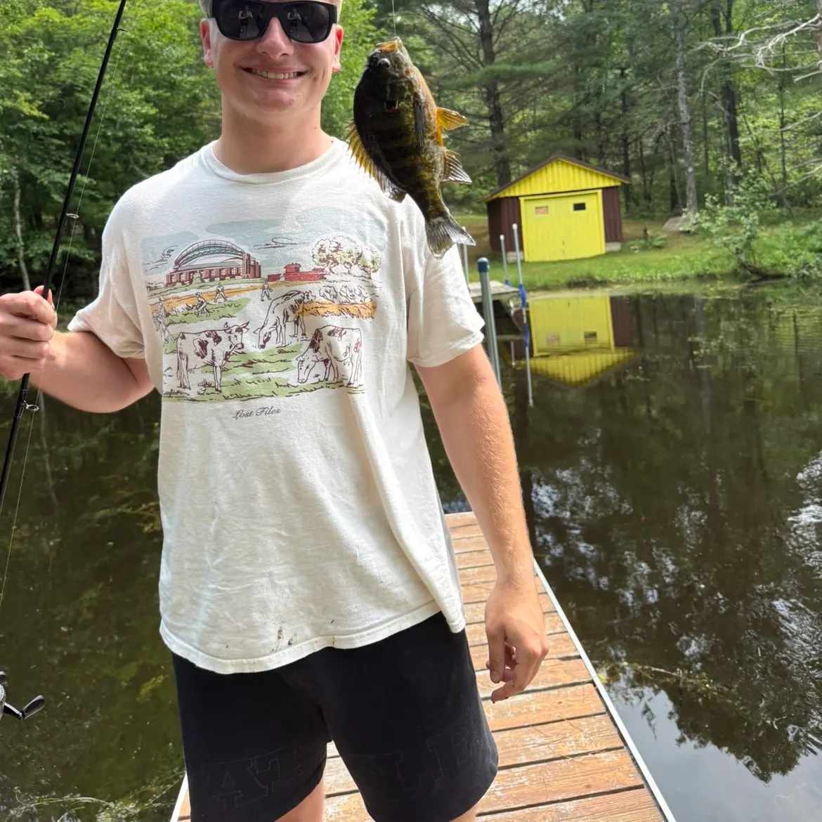 The most recent Northern sunfish catches on Fishbrain