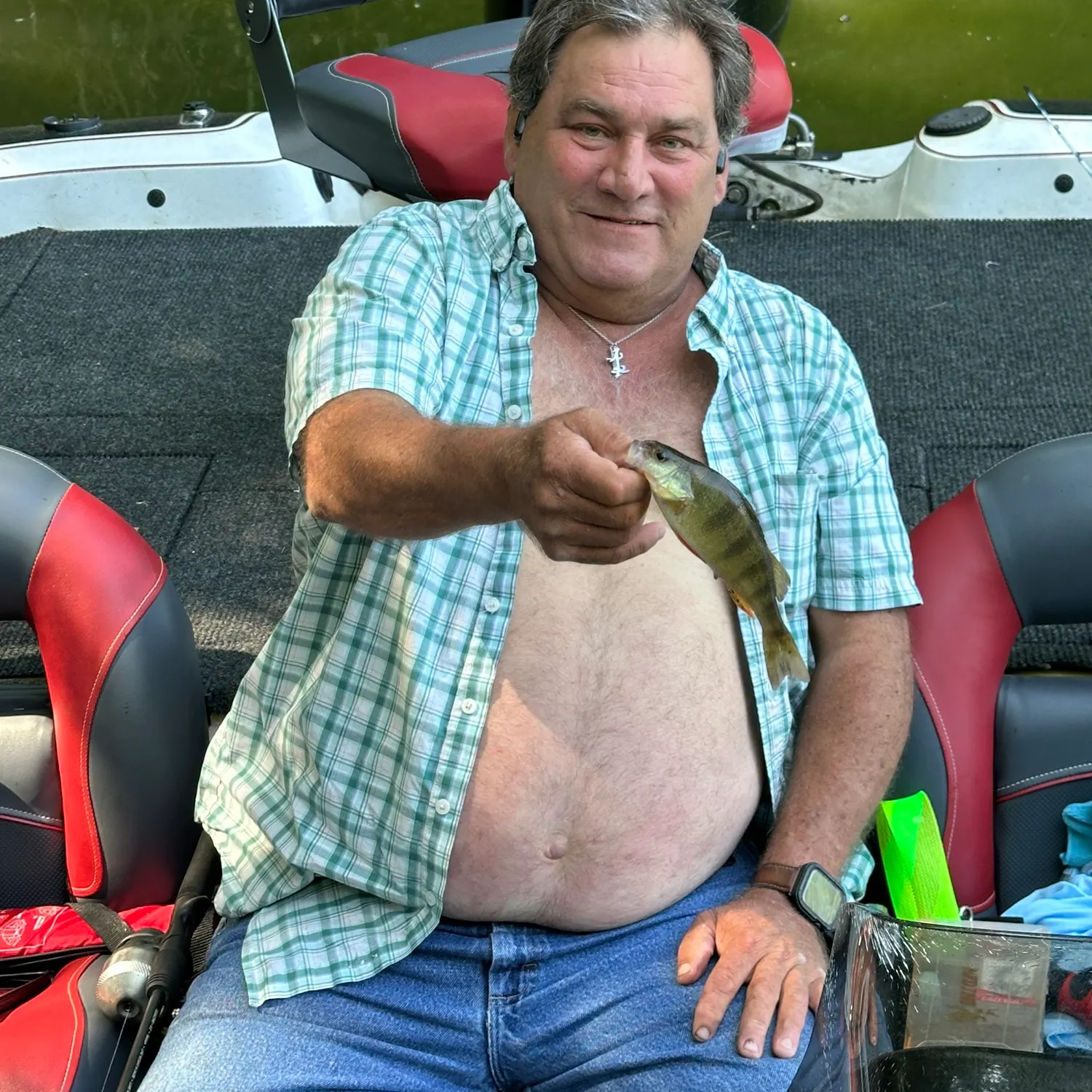 Yellow perch caught on Fishbrain