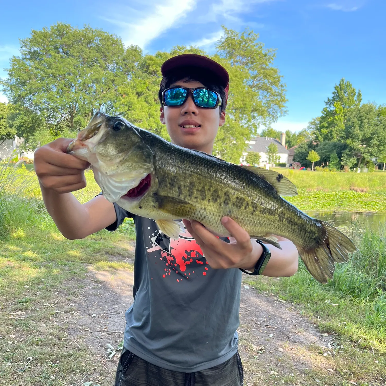 Largemouth bass caught on Fishbrain