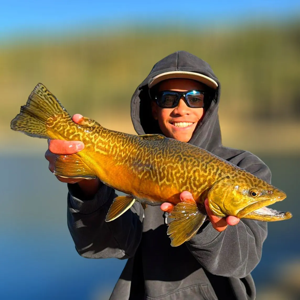 Tiger trout caught on Fishbrain