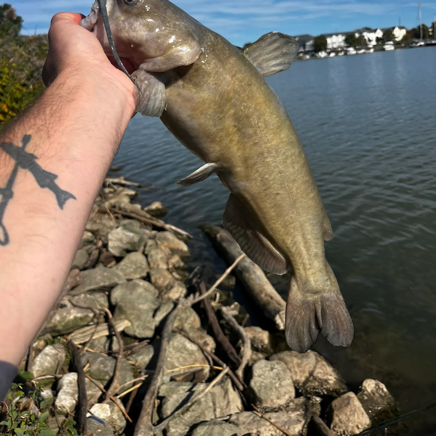 catch