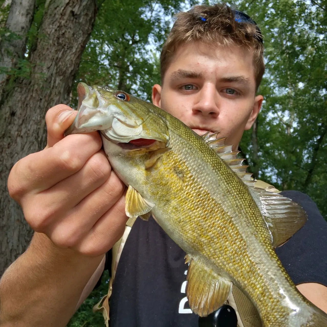 Smallmouth bass caught on Fishbrain