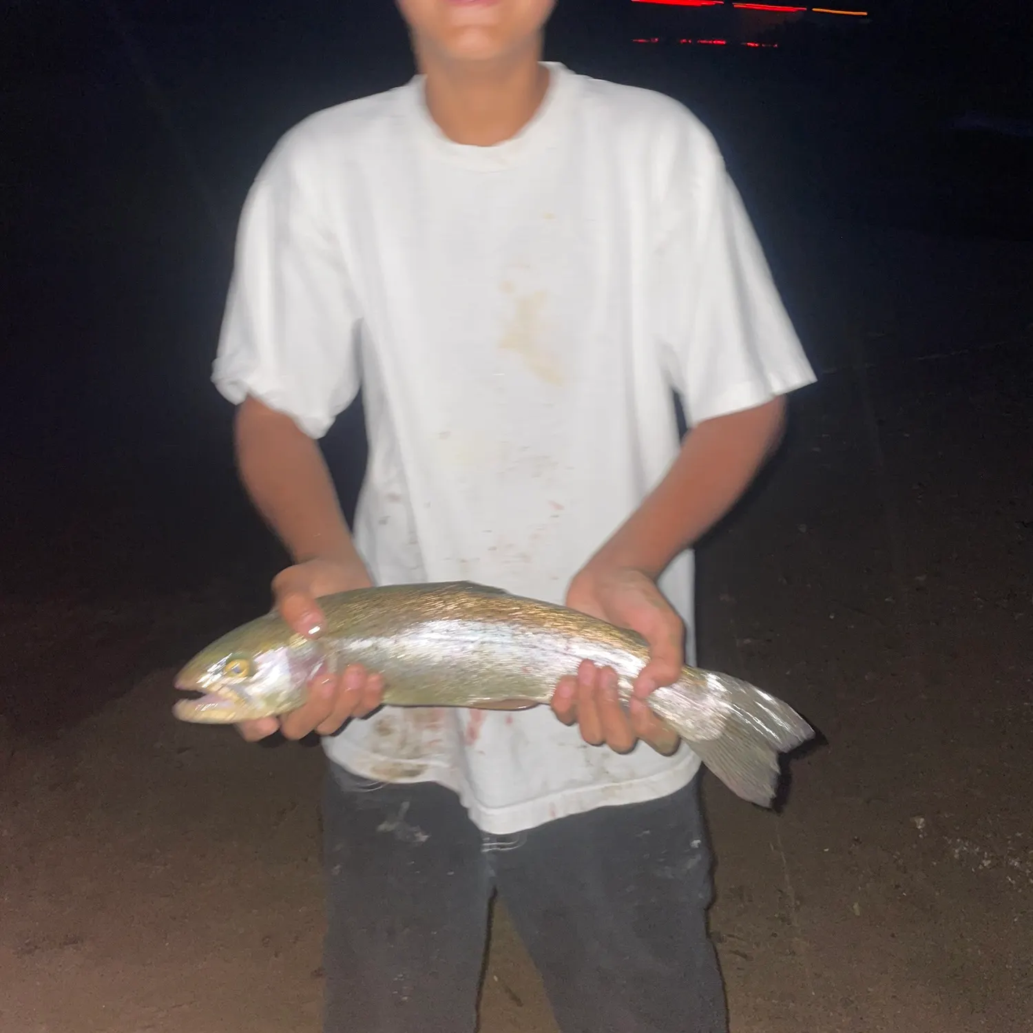 Rainbow trout caught on Fishbrain