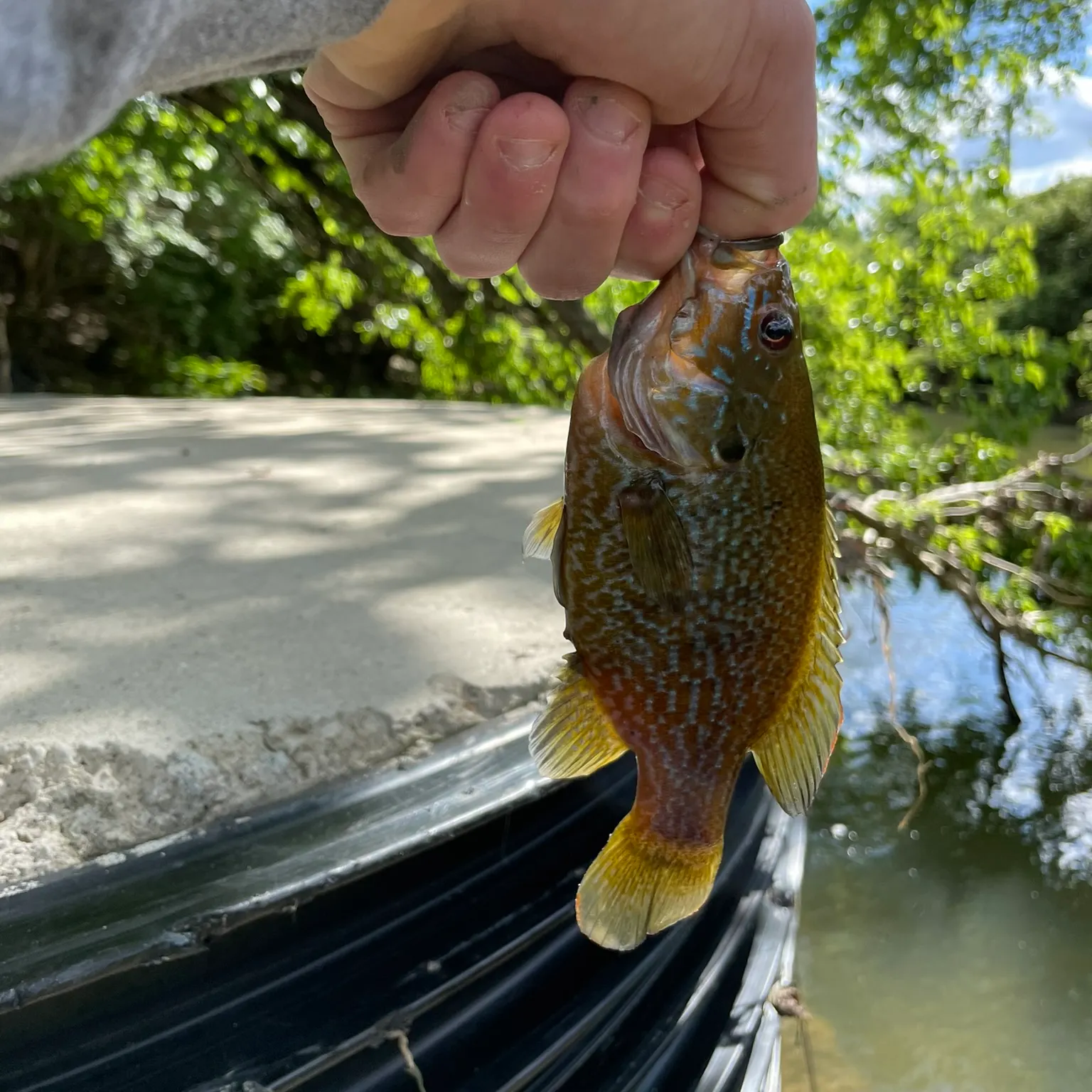 catch