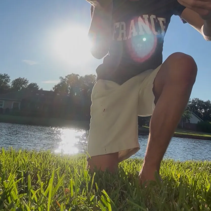 Common snook caught on Fishbrain