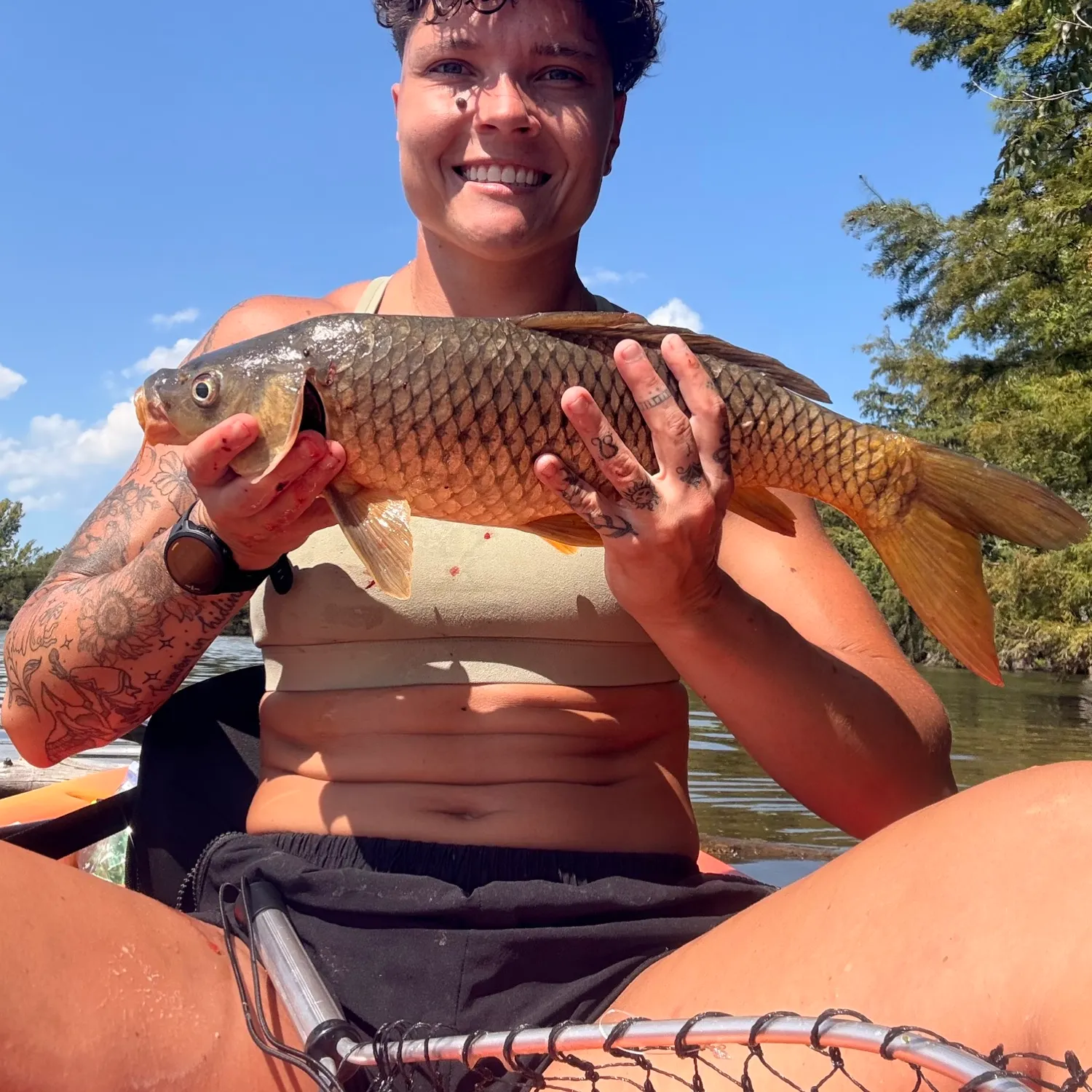 Common carp caught on Fishbrain