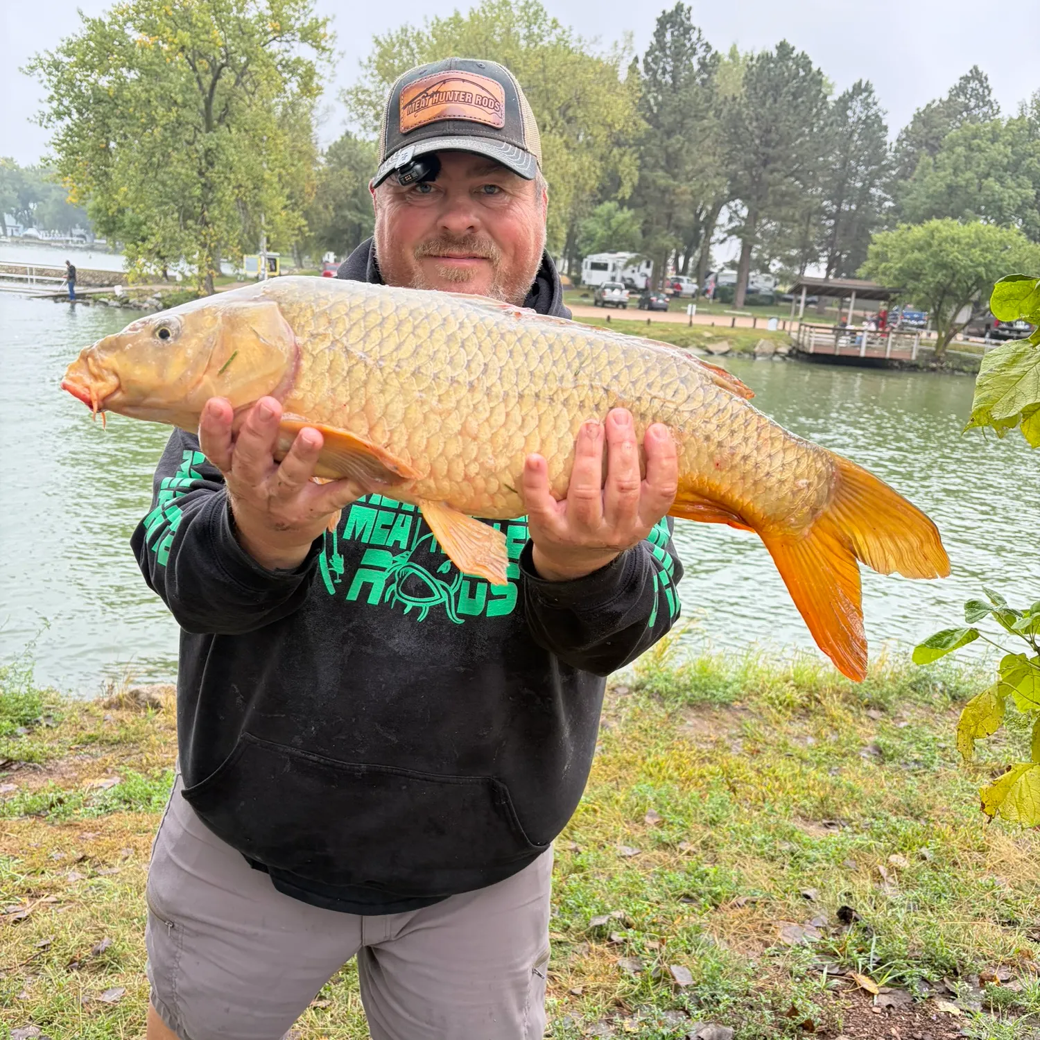 Common carp caught on Fishbrain