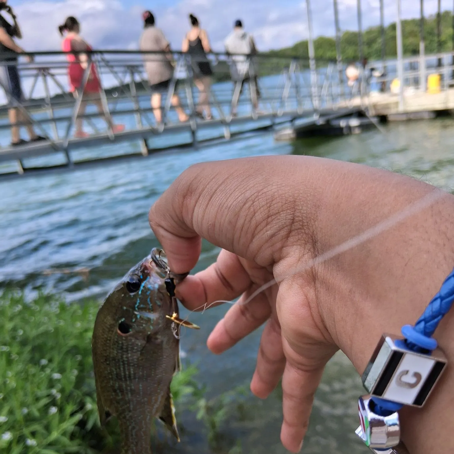 catch