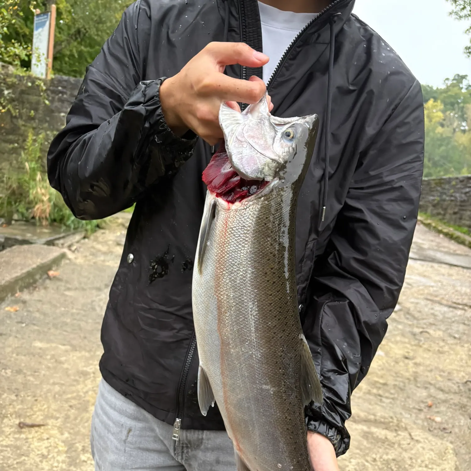 catch