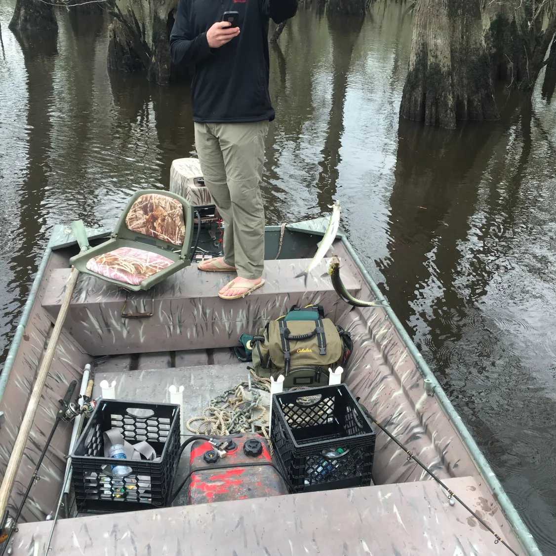 recently logged catches