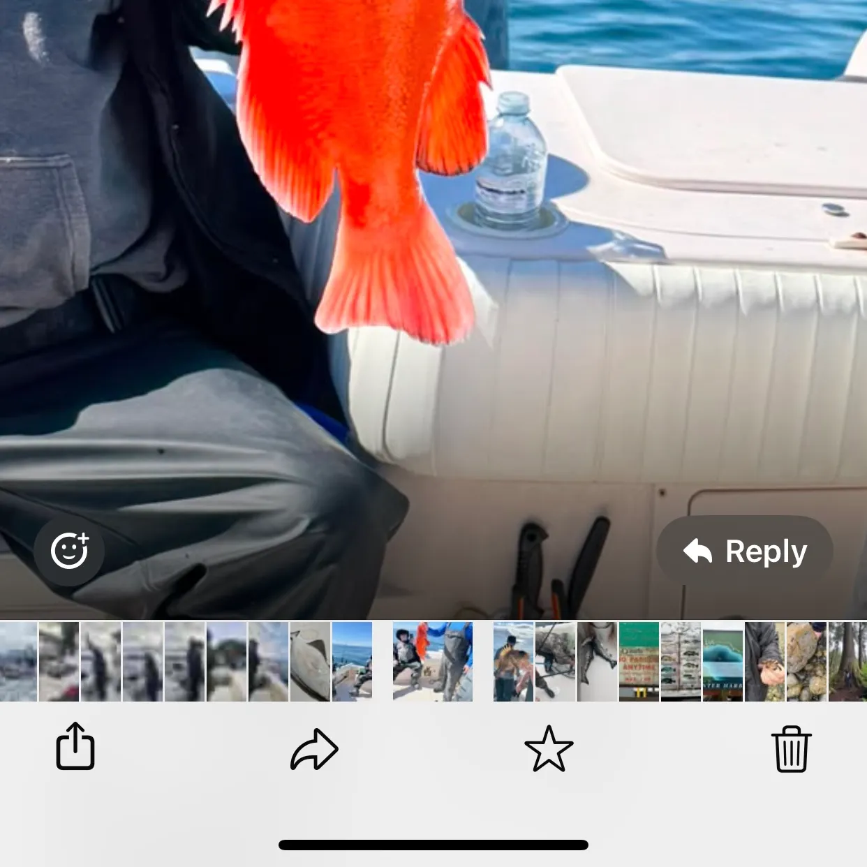recently logged catches