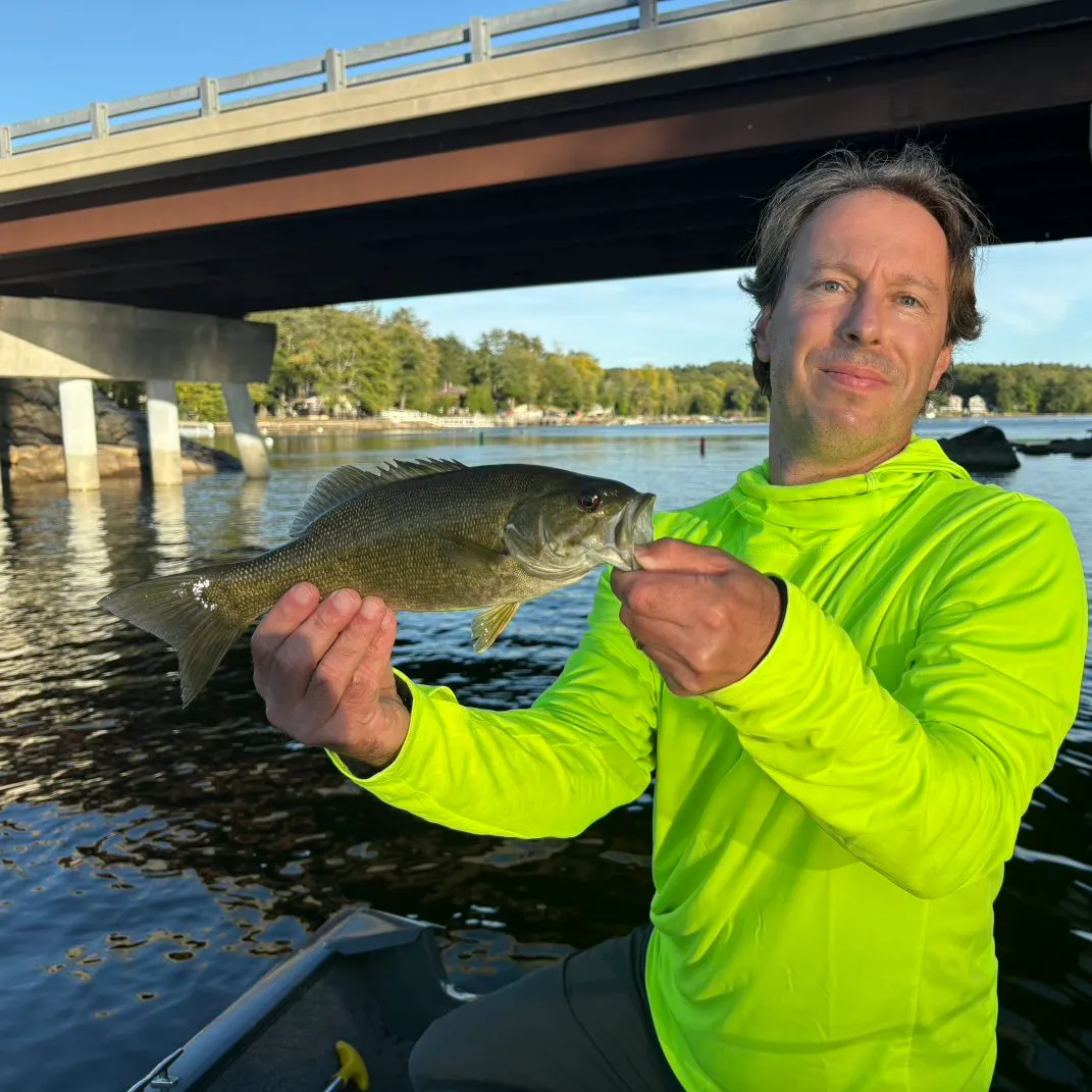 Smallmouth bass caught on Fishbrain