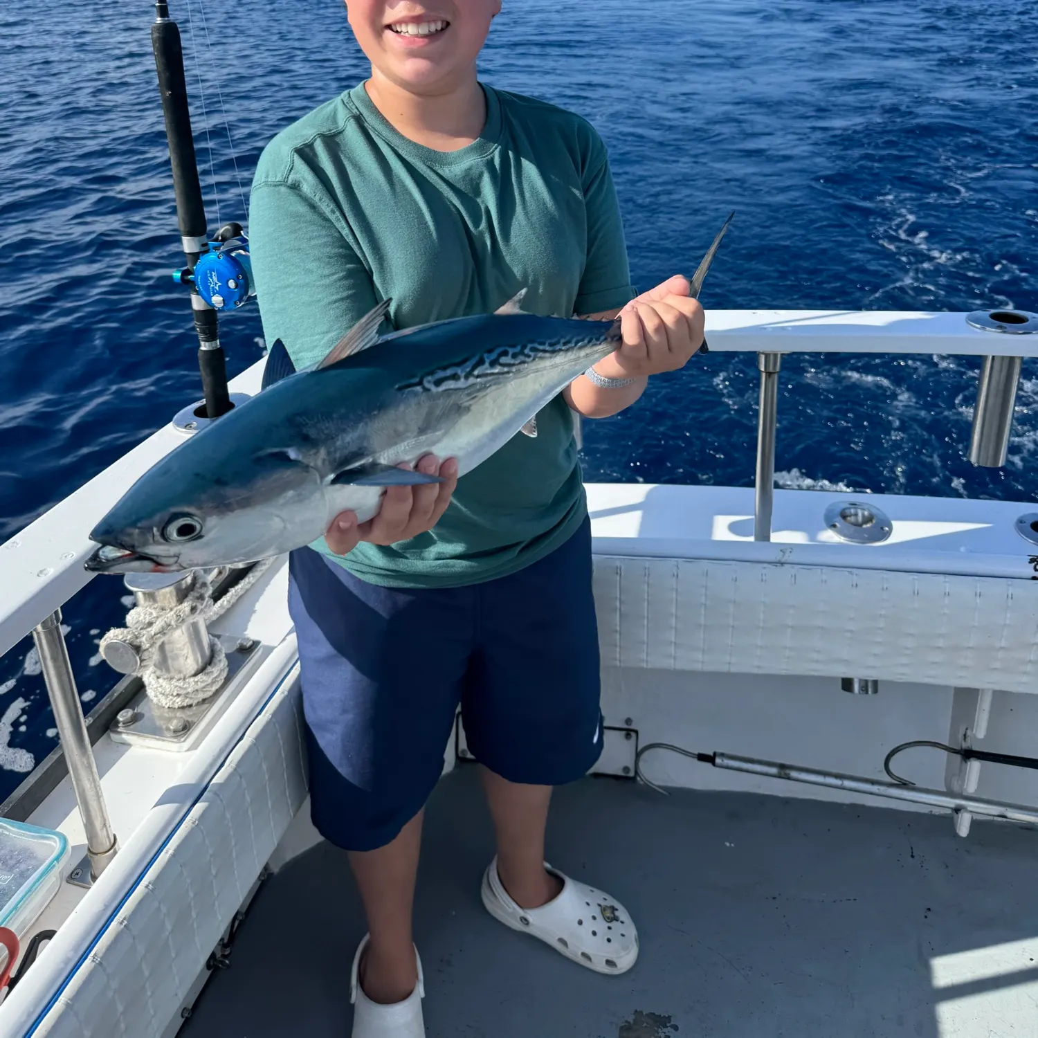 The most recent Pacific bonito catches on Fishbrain