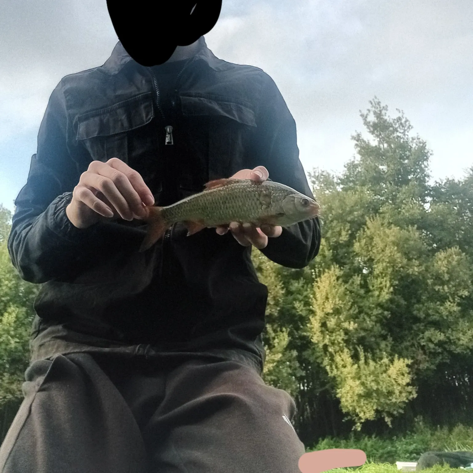 Common rudd caught on Fishbrain