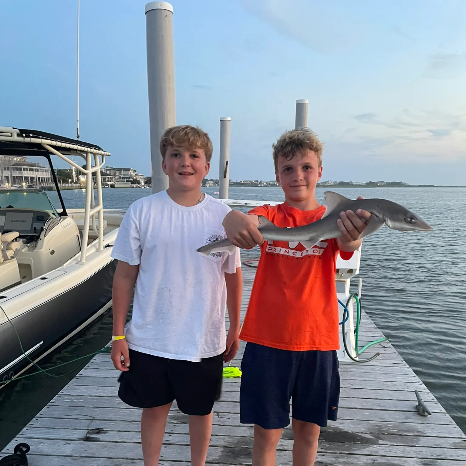 The most recent Dusky smooth-hound catches on Fishbrain