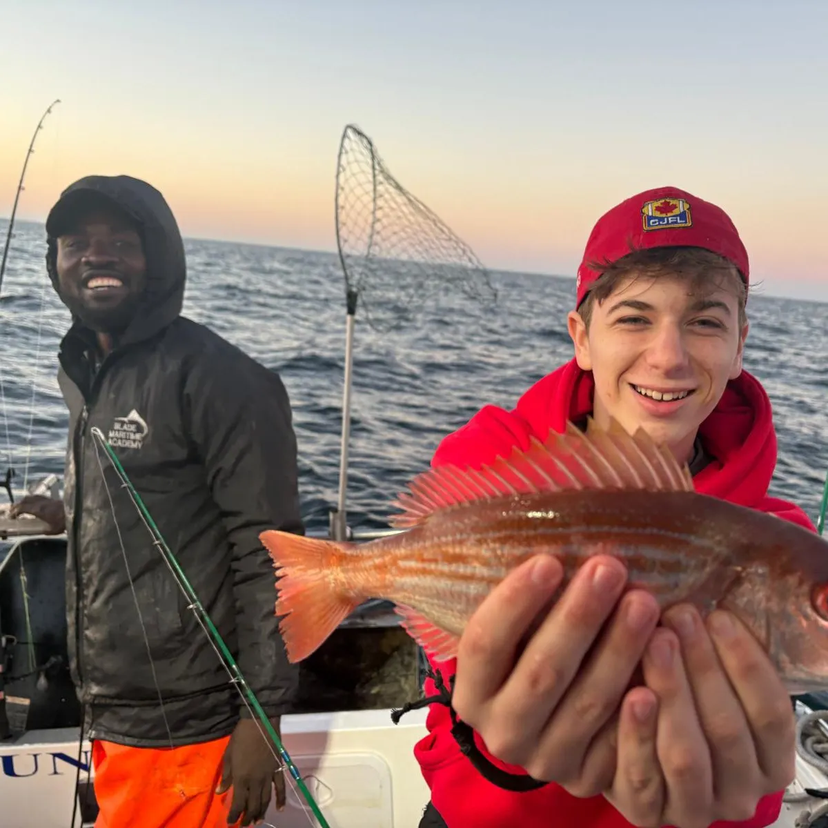 The most recent Common seabream catches on Fishbrain