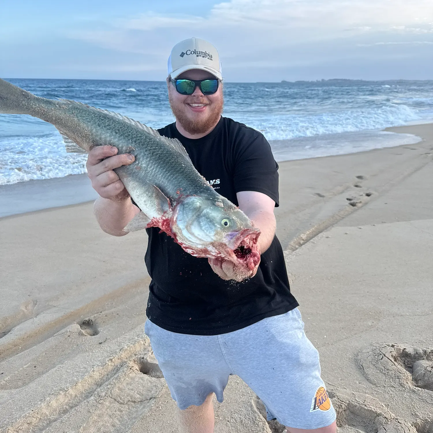 Eastern Australian salmon caught on Fishbrain