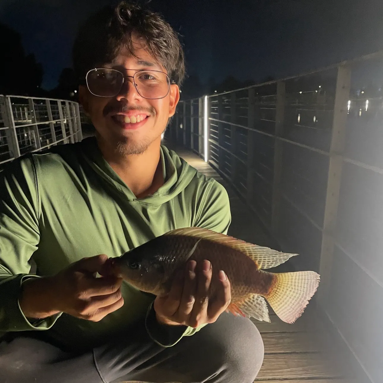 Nile tilapia caught on Fishbrain