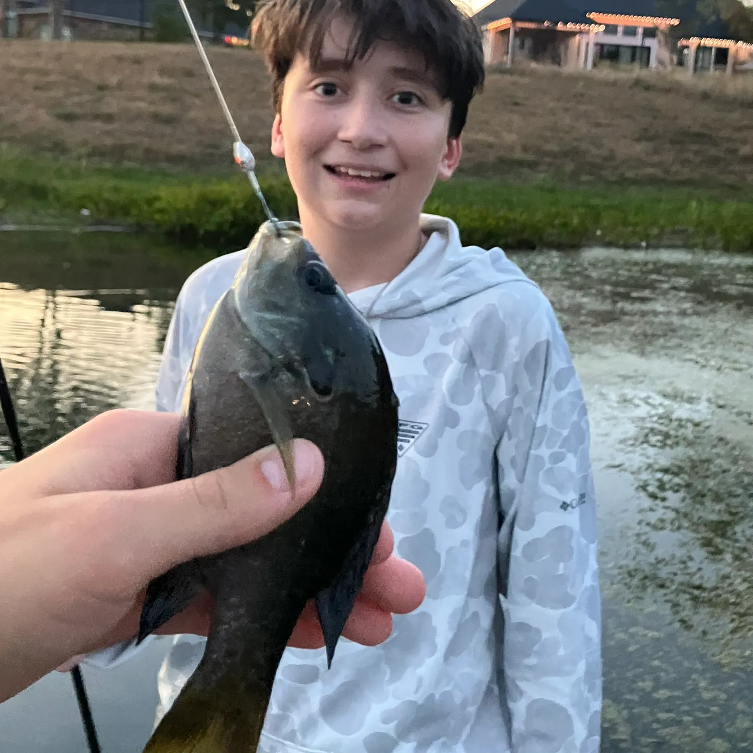 Bluegill caught on Fishbrain