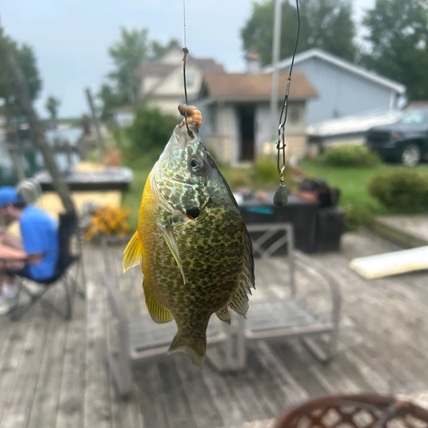 catch
