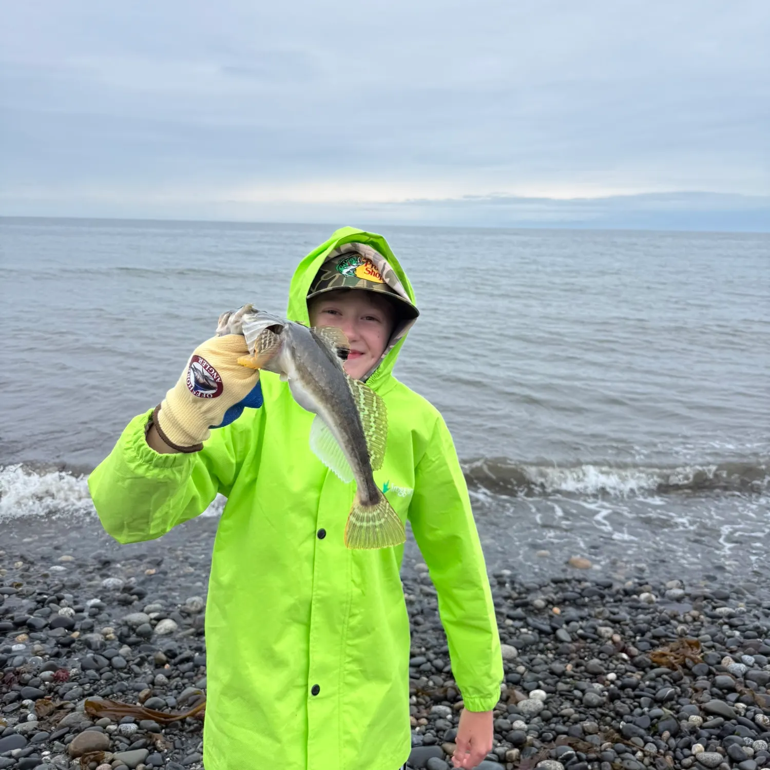 The most recent Spinyhead sculpin catches on Fishbrain