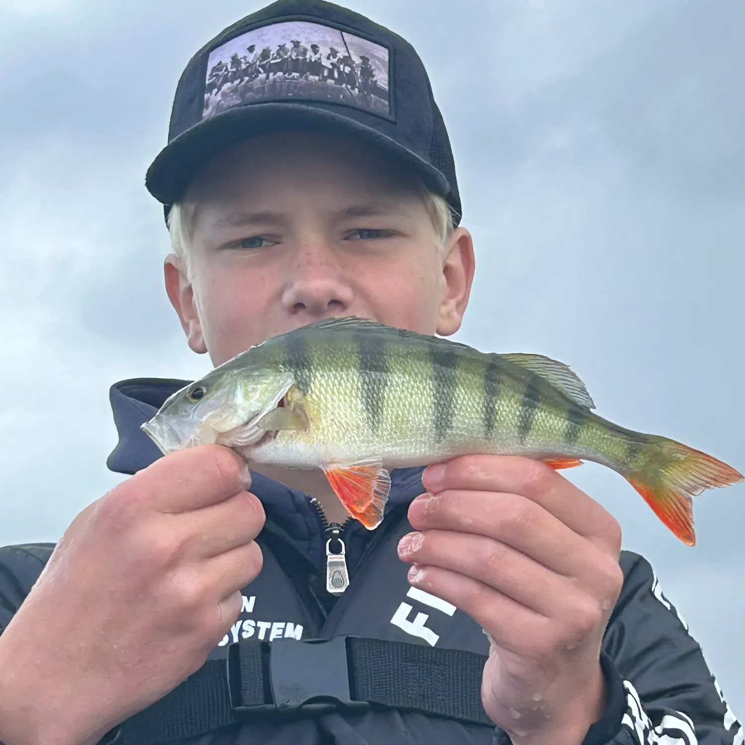 European perch caught on Fishbrain