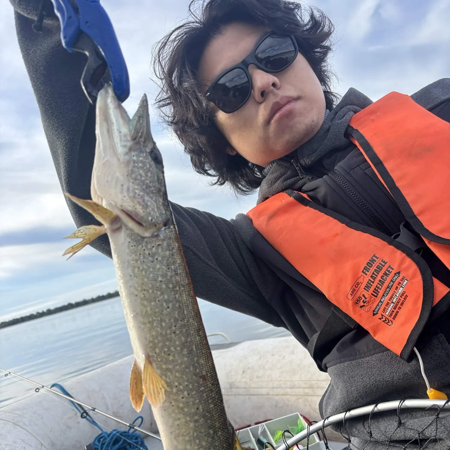 Northern pike caught on Fishbrain