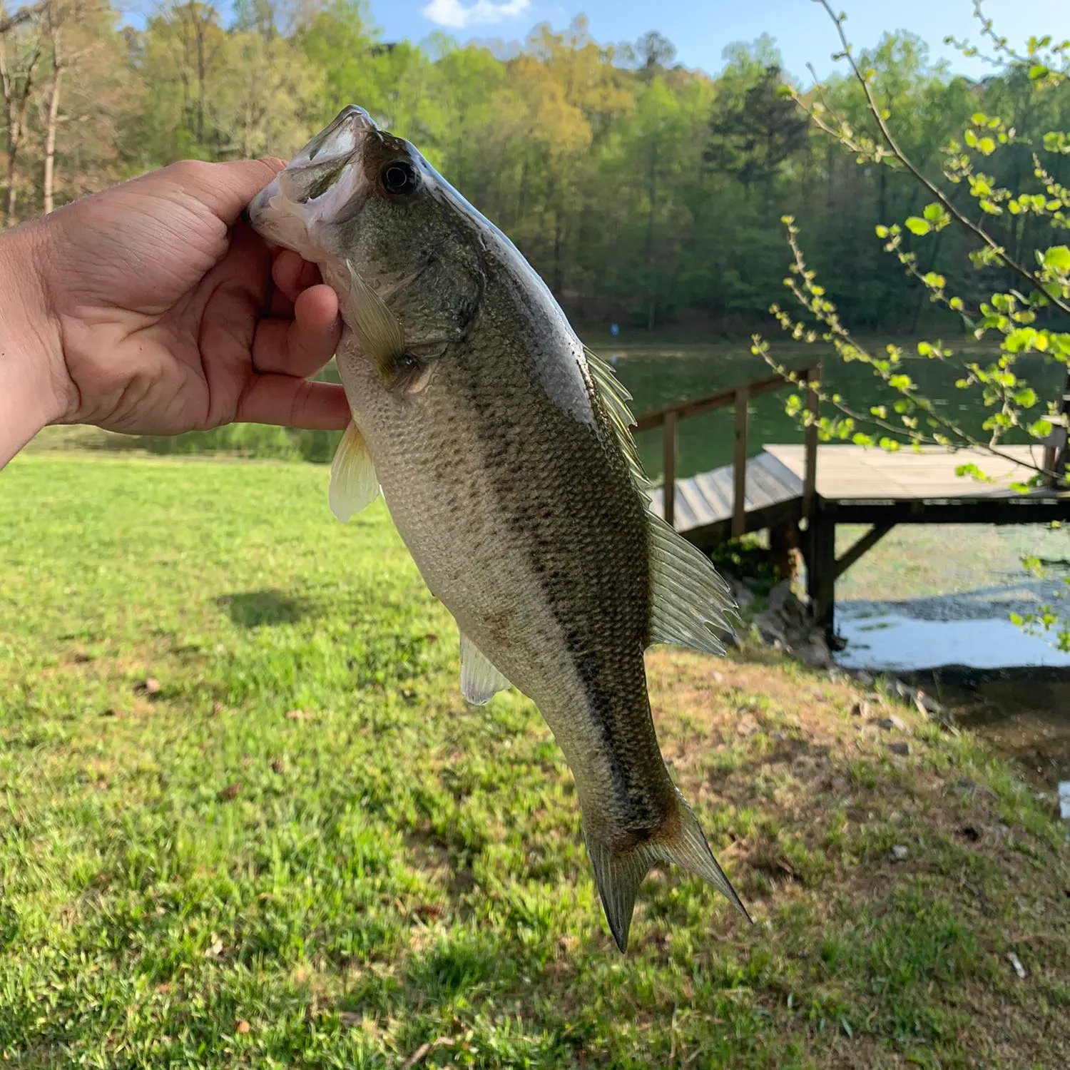 angler catch