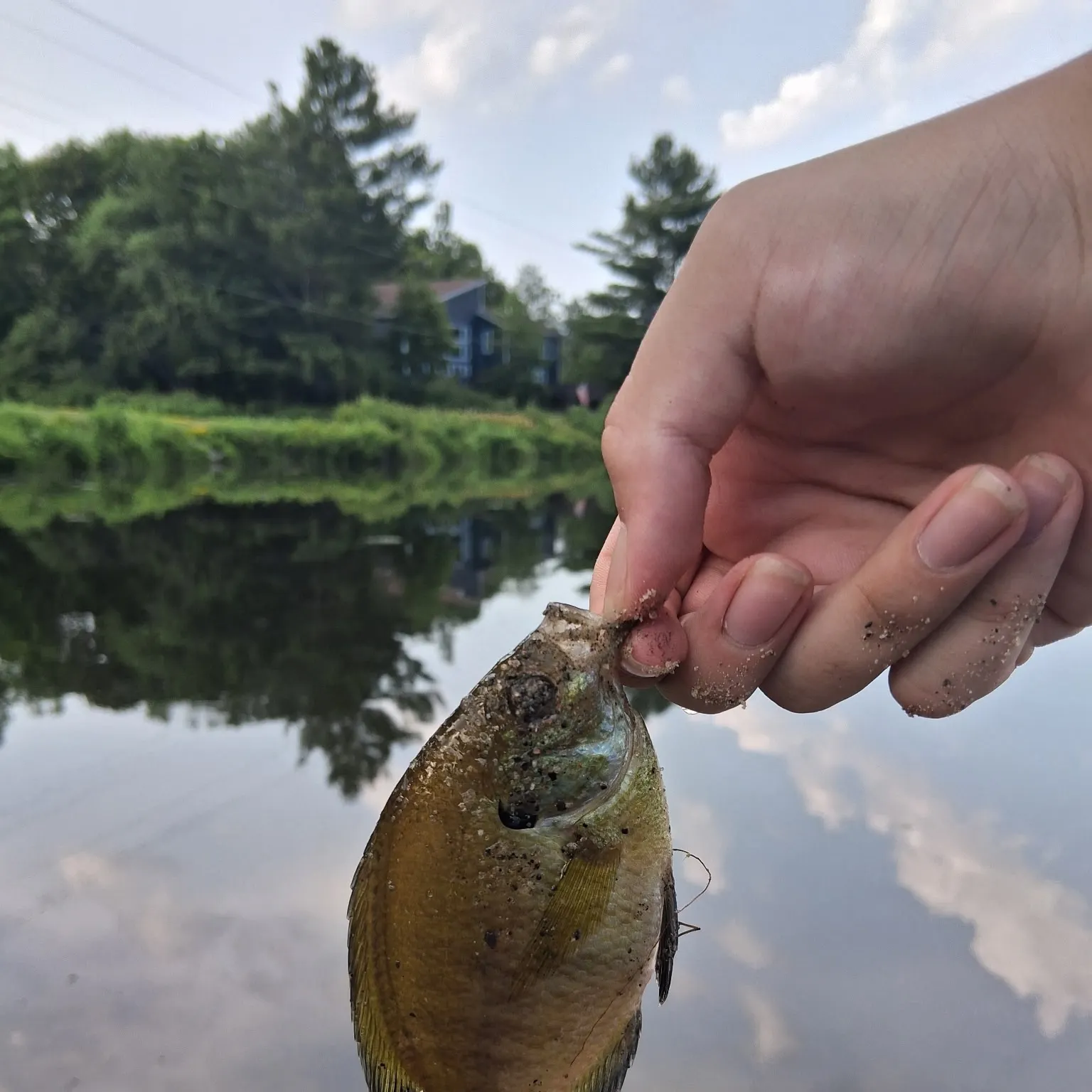catch