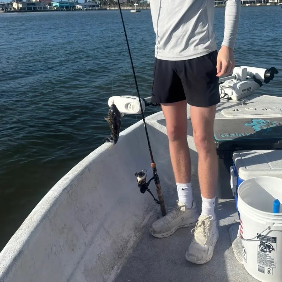 The most recent Spider-eye puffer catches on Fishbrain