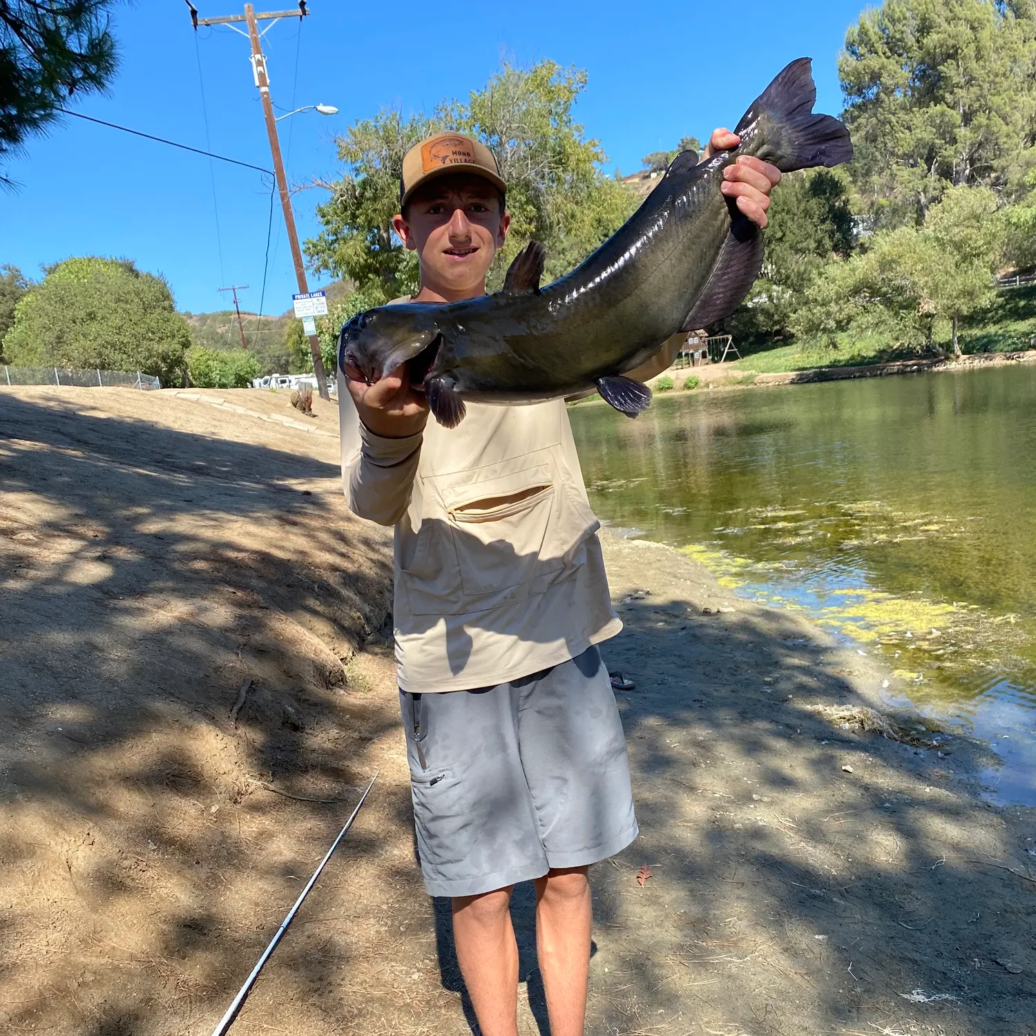 Channel catfish caught on Fishbrain