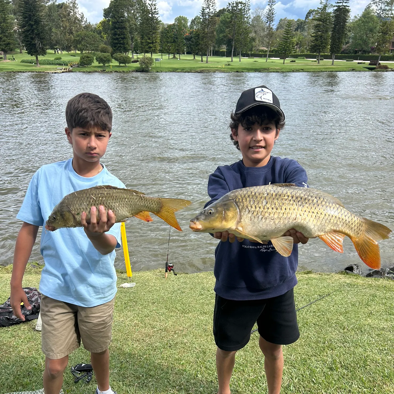 Common carp caught on Fishbrain