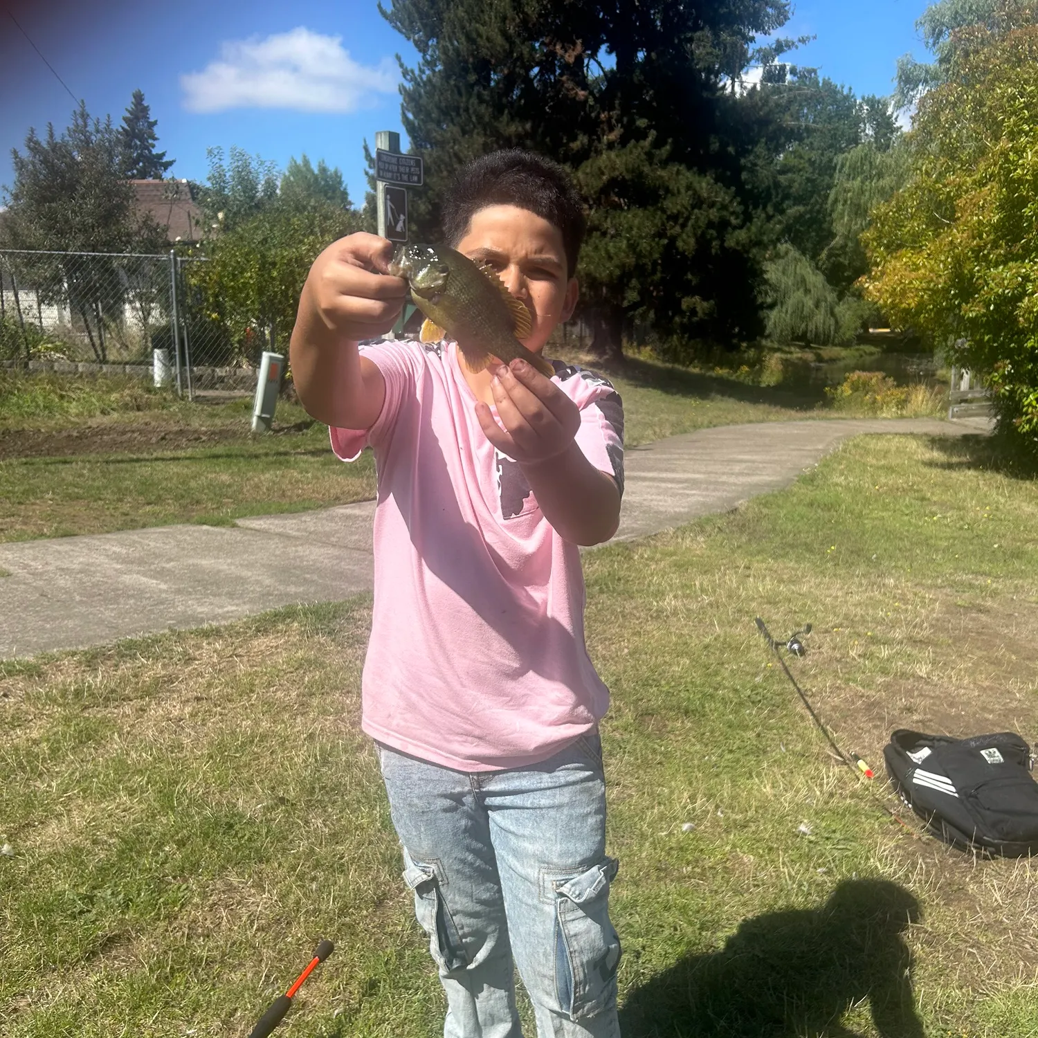 Green sunfish caught on Fishbrain