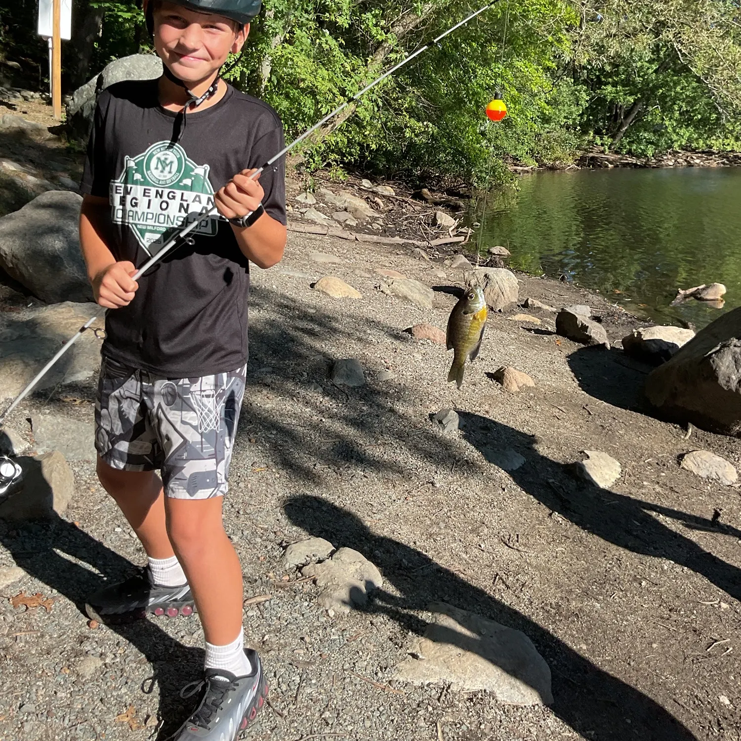 Bluegill caught on Fishbrain