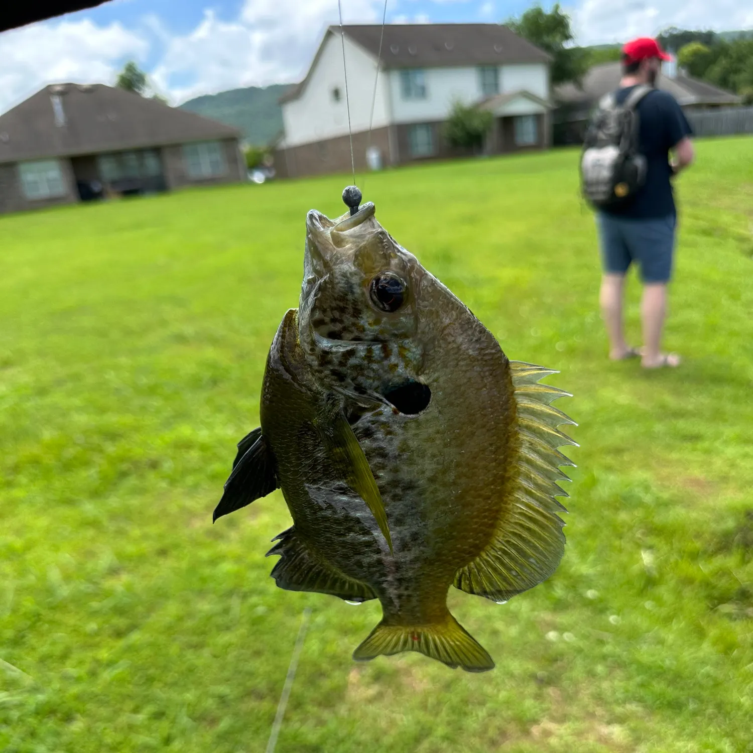 most liked catch image