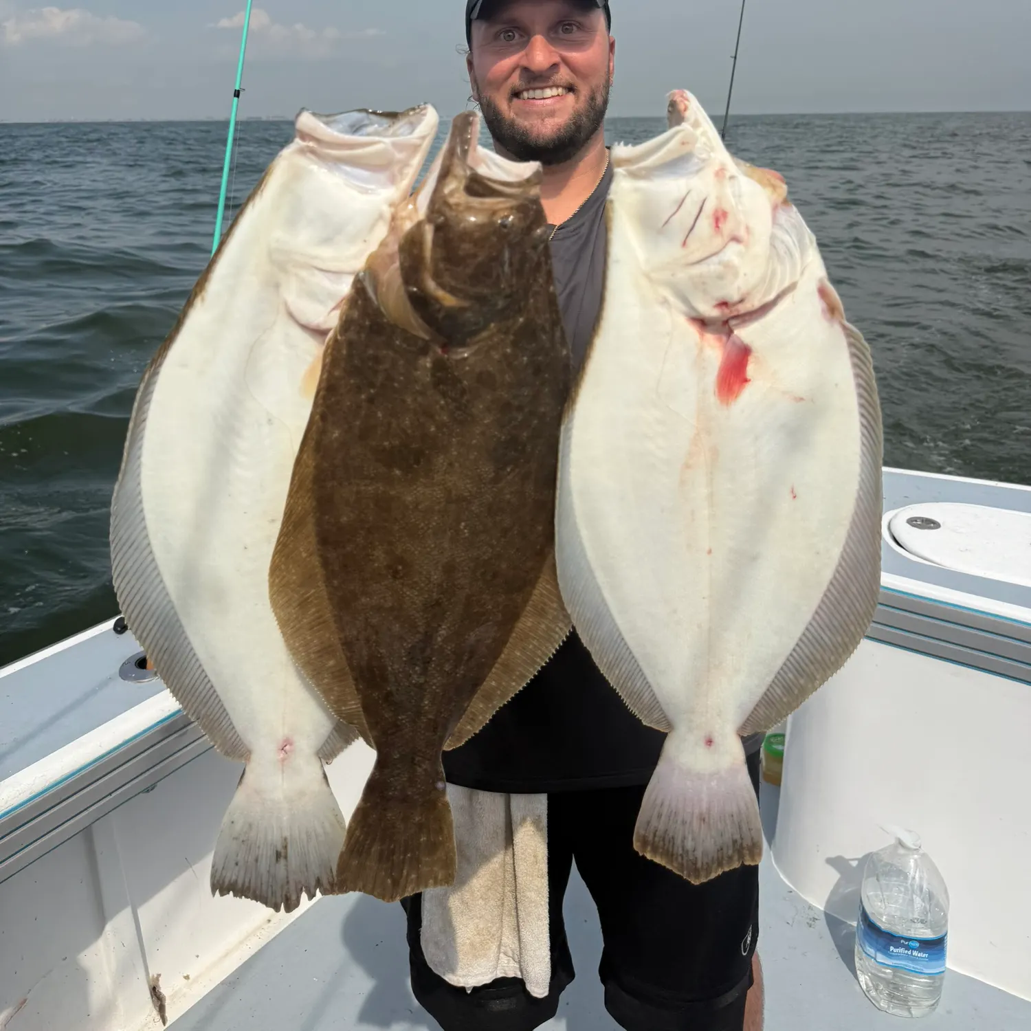 Summer flounder caught on Fishbrain