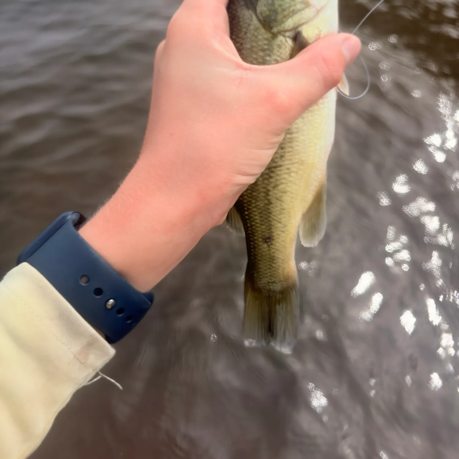 Fish caught on Fishbrain