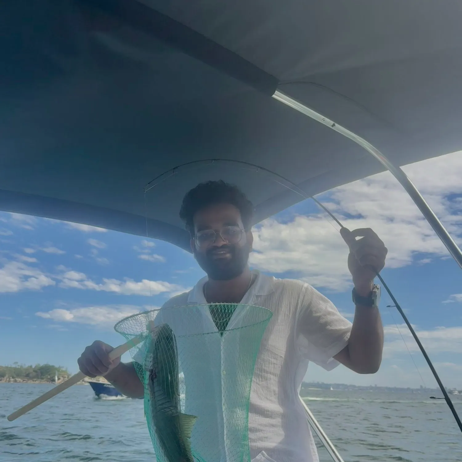 The most recent Southern yellowtail amberjack catches on Fishbrain