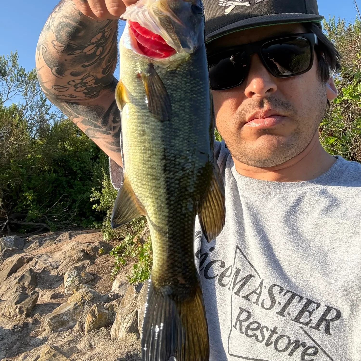 catch