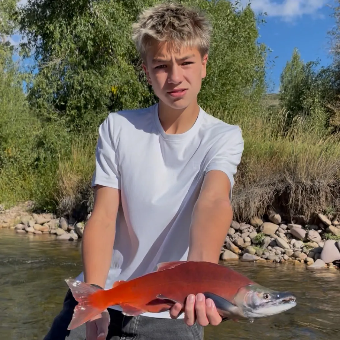 Kokanee salmon caught on Fishbrain