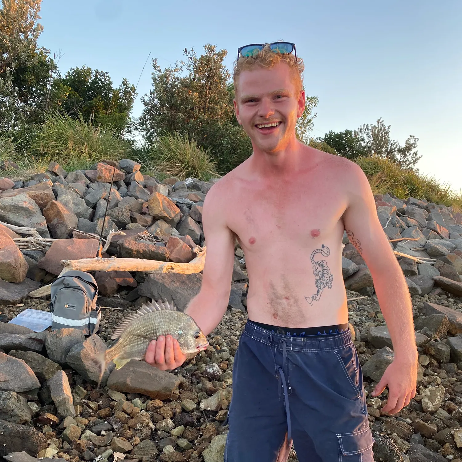 The most recent Southern black bream catches on Fishbrain