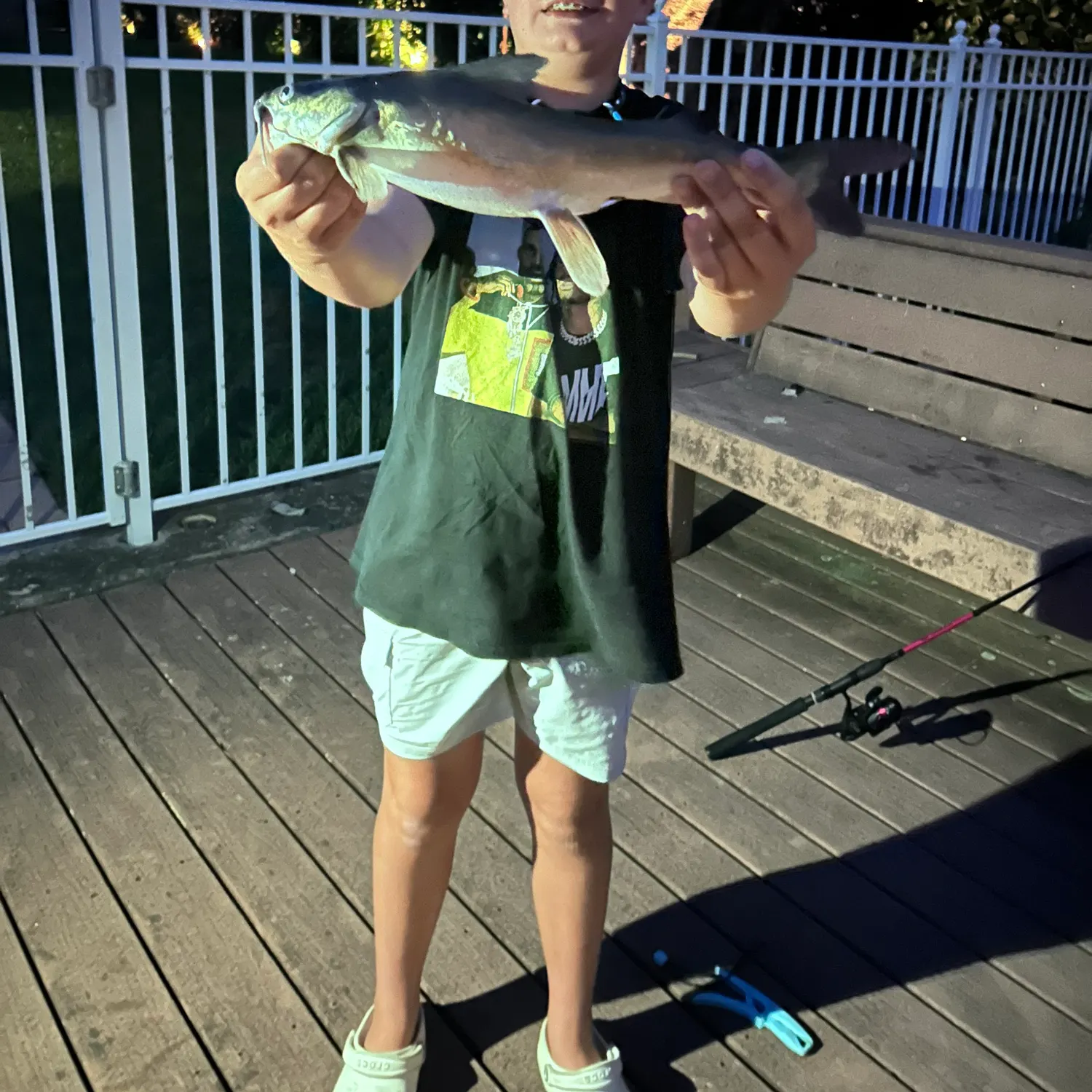 The most recent Hardhead sea catfish catches on Fishbrain